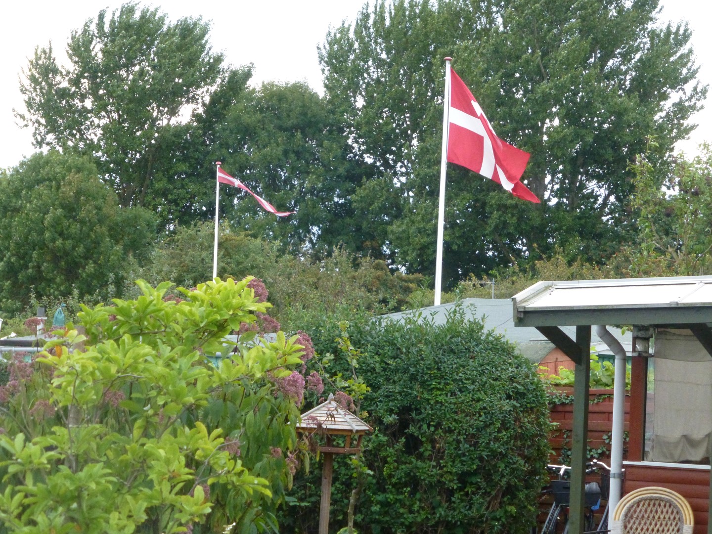 F