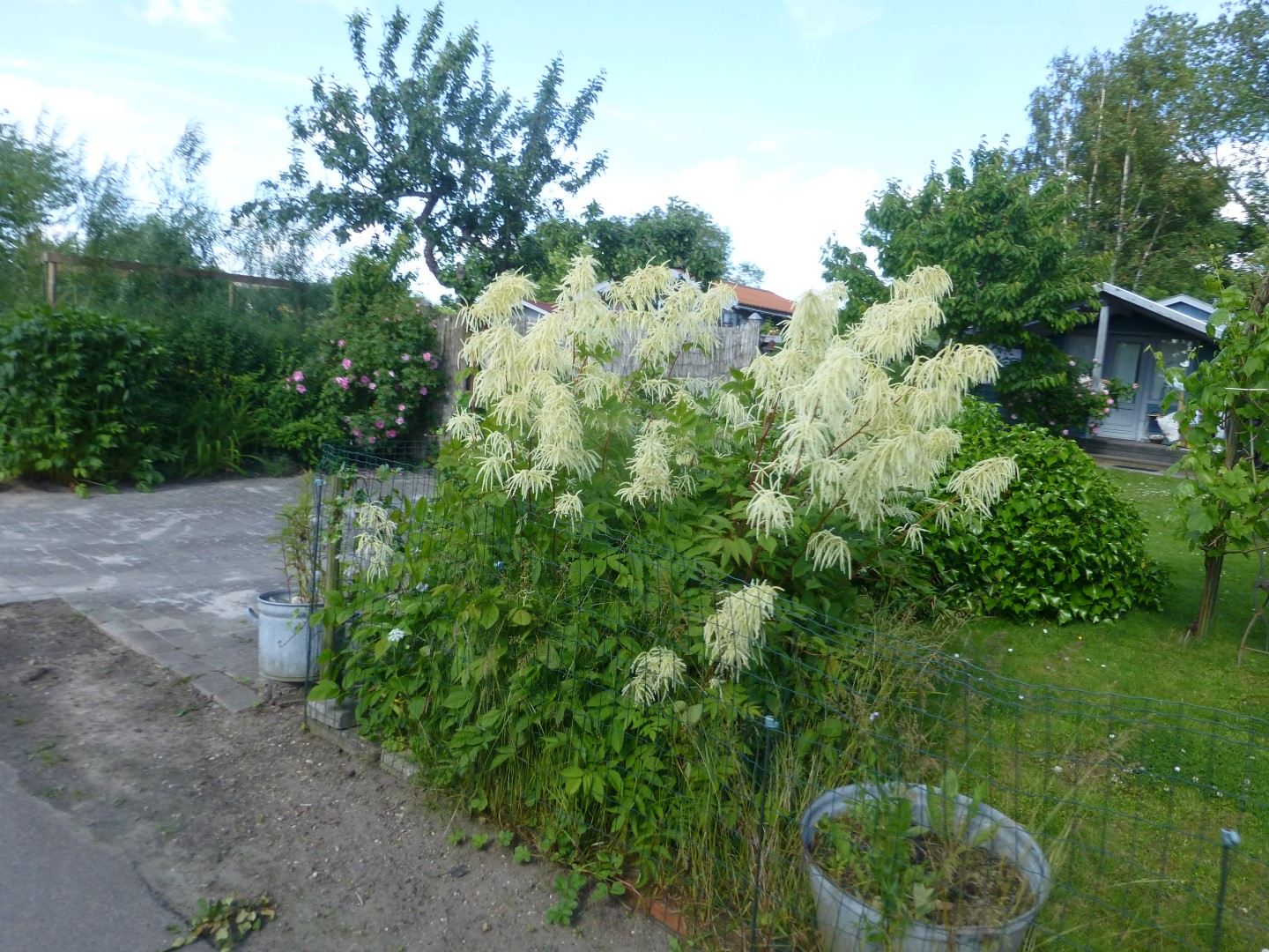 F Fælleseje