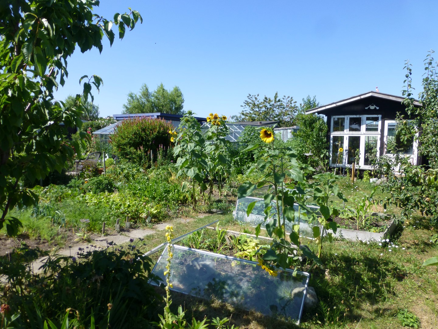 Haveforeningen HF 200