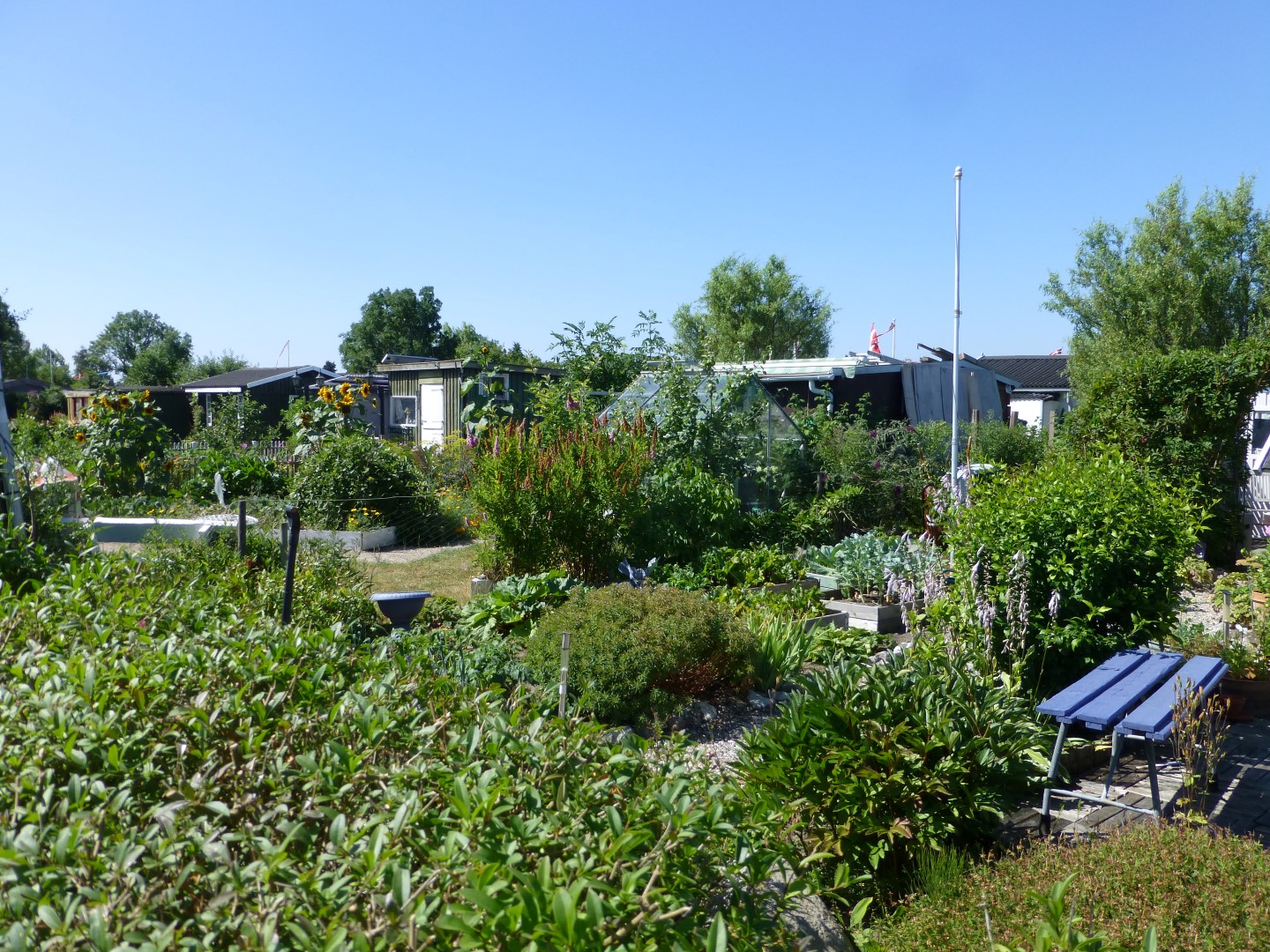 Haveforeningen HF 200