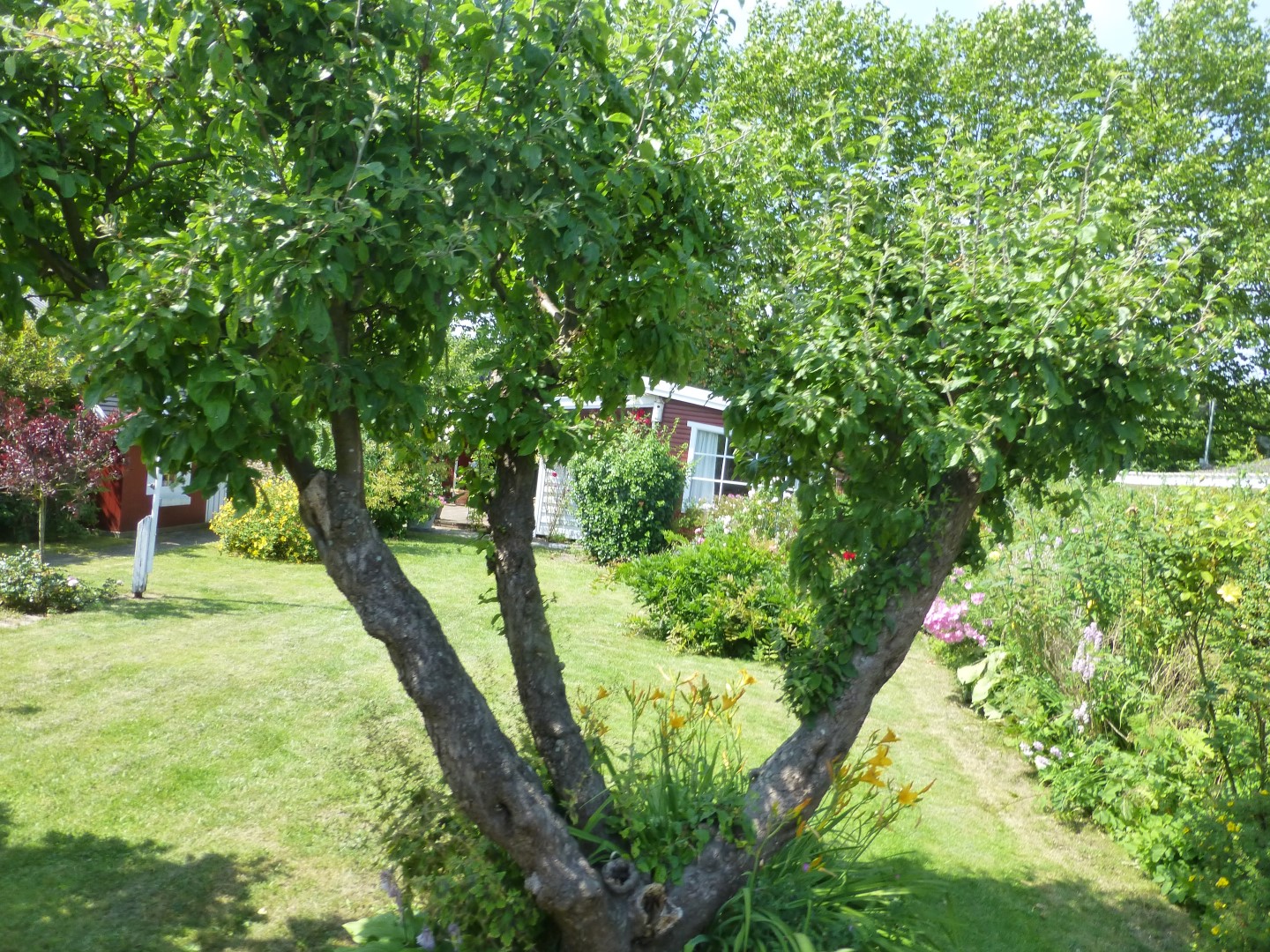 F