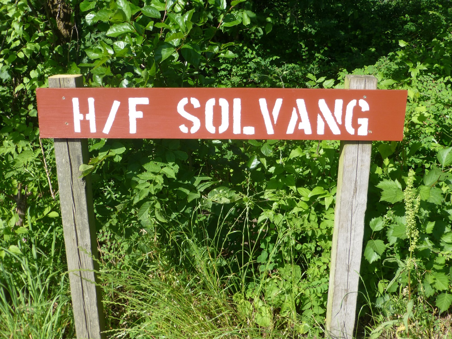 F (Viborg)