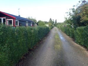 Sommerhuskolonien afd B