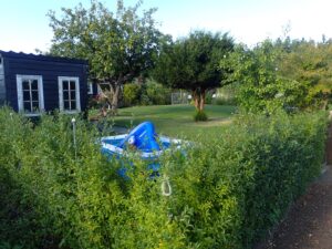 Sommerhuskolonien afd B