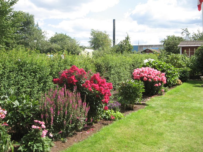 Sorø Kolonihaveforening