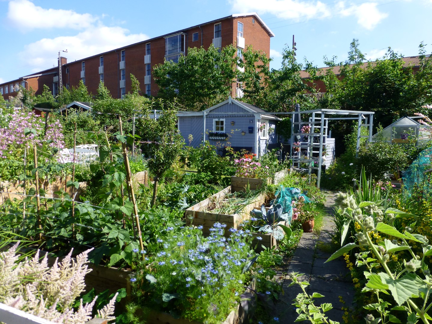F
