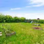 DSC09742