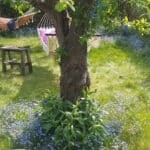 Solidt hus med smuk udsigt - andelshave