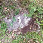 IMG_20250811_193334