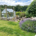 Screenshot 2025-08-13 at 13-12-13 Ledige haver HF Solvang Odense