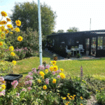 Kolonihave Frederikshavn