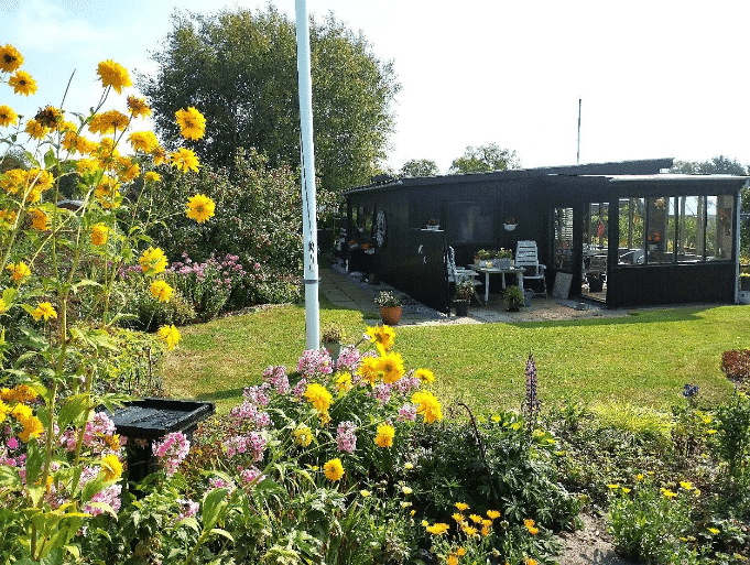 Kolonihave Frederikshavn