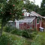 IMG_20250826_115644-5