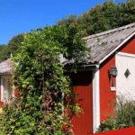 Kolonihave Herning