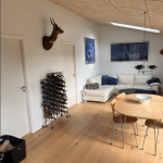 Screenshot 2025-11-27 at 09-56-19 Til salg – Møllehaverne
