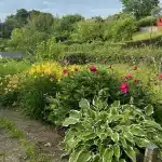 1537950a-ca7f-42a5-952d-a4eaa4282eca