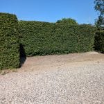 PXL_20250714_140311654