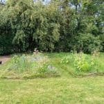 original-4FA089F6-E57C-445D-AEEA-8FA4DE8F9E89