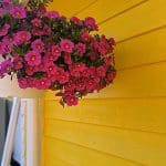 IMG-20260609-WA0005