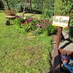 IMG_20250816_164051