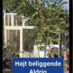 Kolonihave Randers