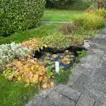 Kolonihave Vejle