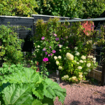 Blomster-ved-hegn