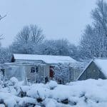 IMG_20231130_144408