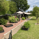 Solskinsdag