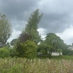 img_7758-1600x2133