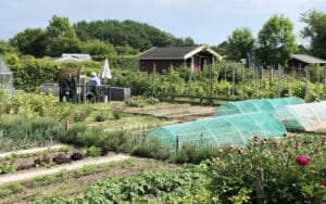 2024_2