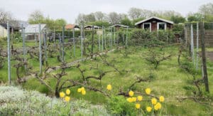 standerhejs_24_3